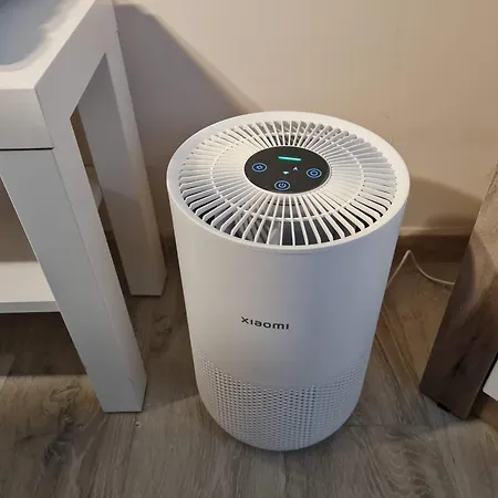 Апартаменты Angelina Apartmani.