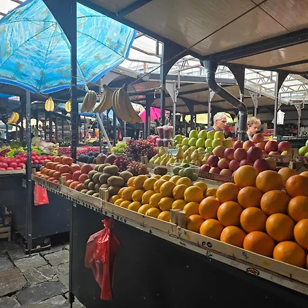 公寓 Angelina Apartmani. *