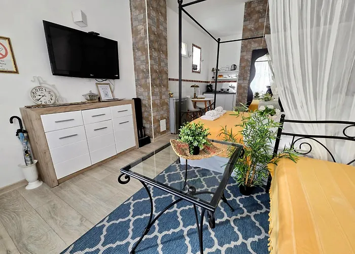 Angelina Apartmani. Apartman Belgrade