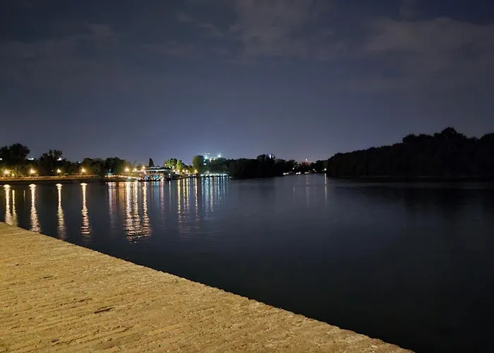 Angelina Apartmani. Apartman Belgrade